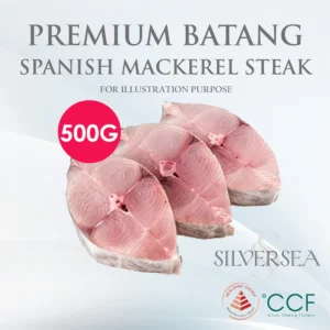 Frozen Batang/ Spanish Mackerel Steak