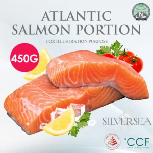 Frozen Premium Atlantic Salmon Fish Fillet Steak